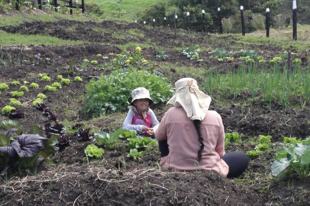 Un Refugio En Las Montanas De Tabioヴィラ エクステリア 写真